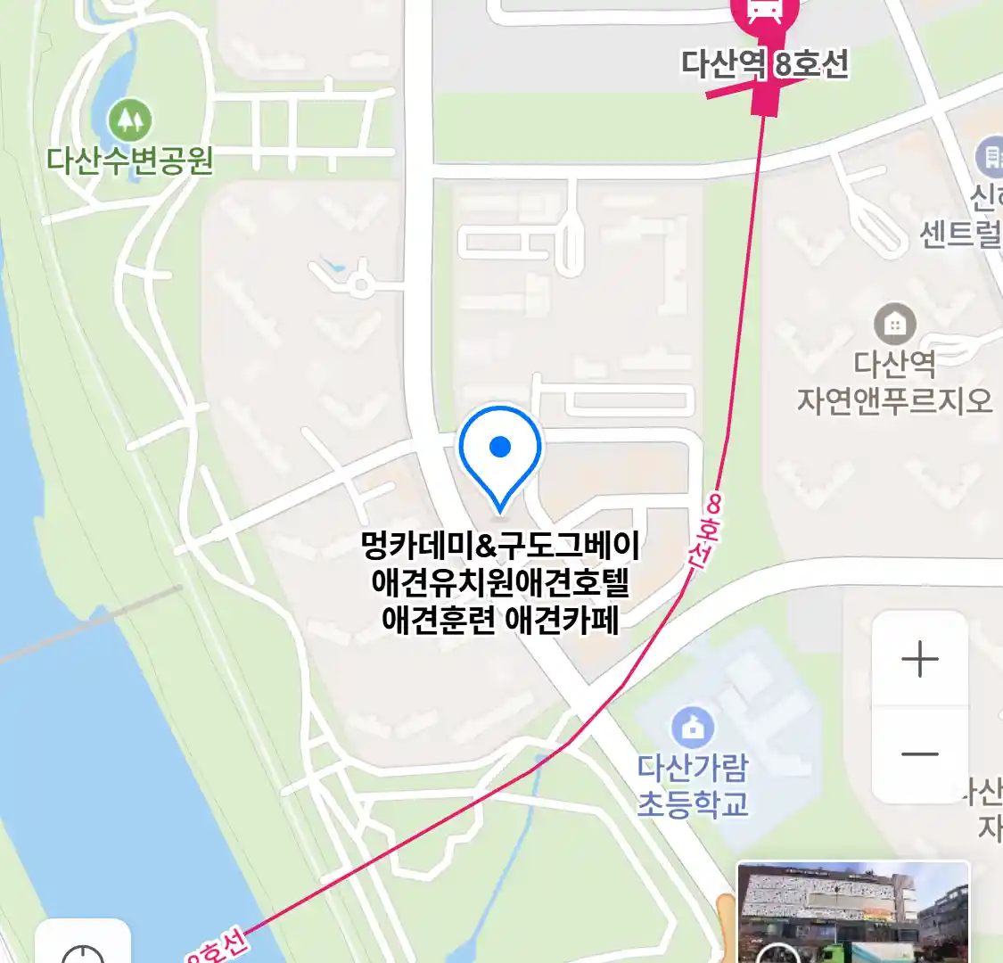 멍카데미&구도그베이 애견유치원애견호텔 애견훈련 애견카페 위치