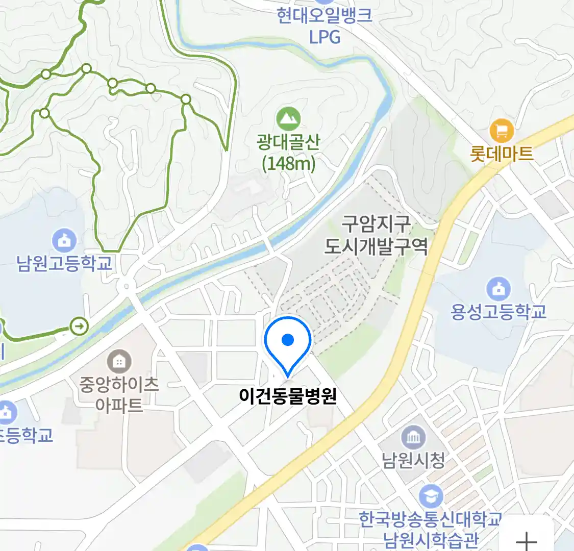 이건동물병원 위치