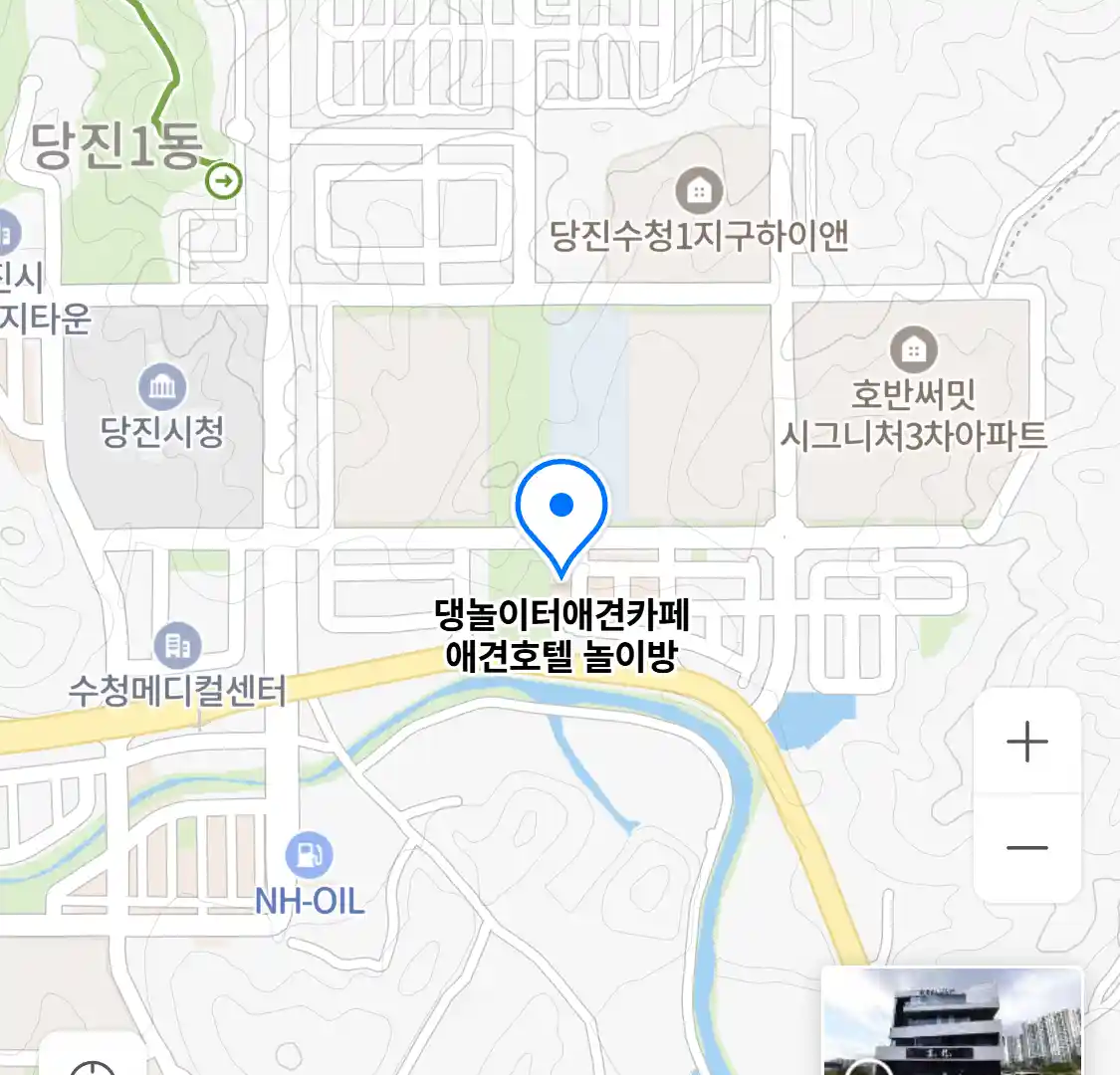 댕놀이터애견카페 애견호텔 놀이방 위치