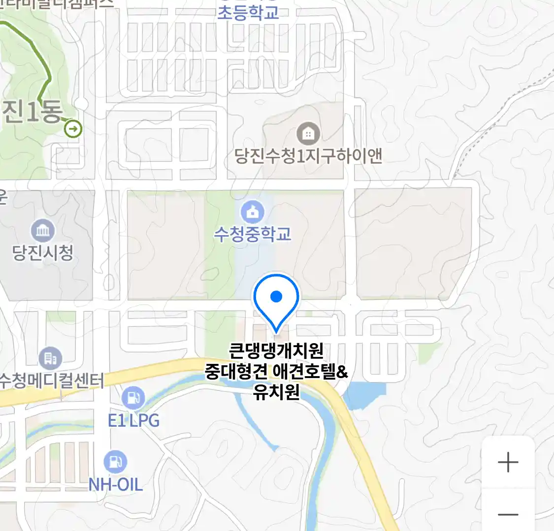 큰댕댕개치원 중대형견 애견호텔&유치원 위치