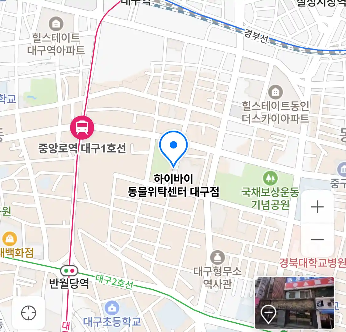 하이바이 동물위탁센터 대구점 위치