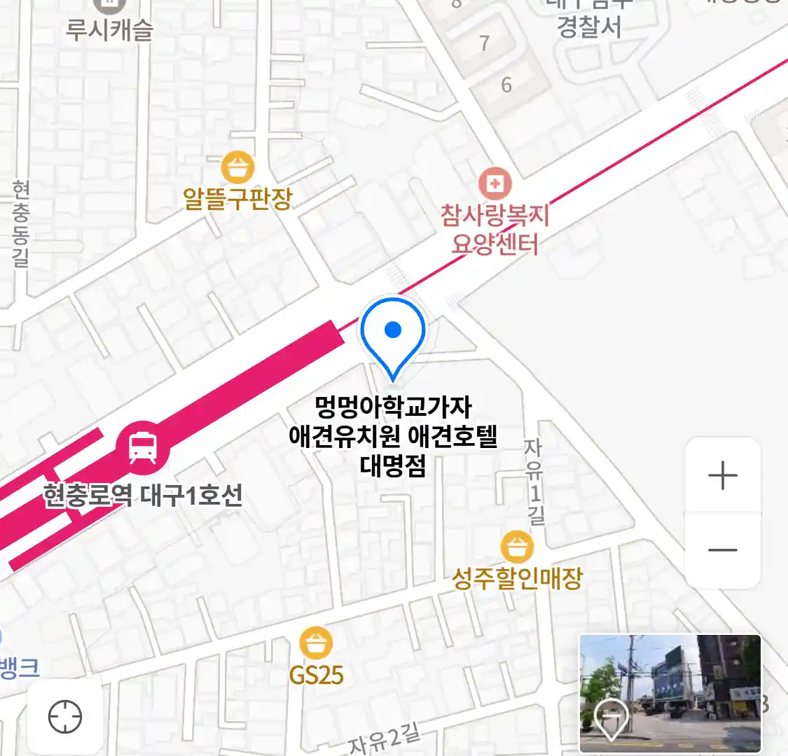 멍멍아학교가자 애견유치원 애견호텔 대명점 위치
