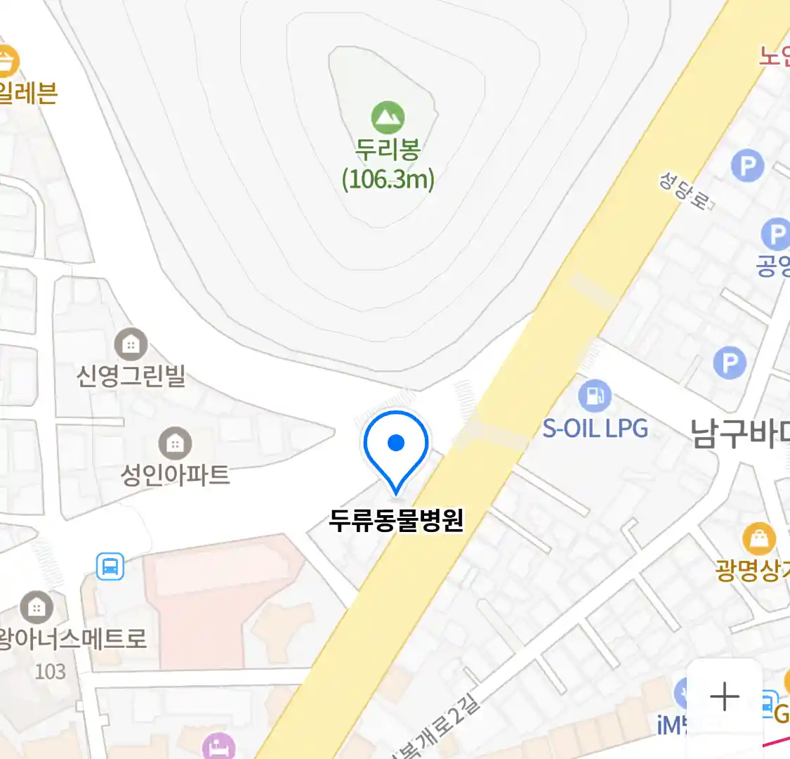 두류동물병원 위치