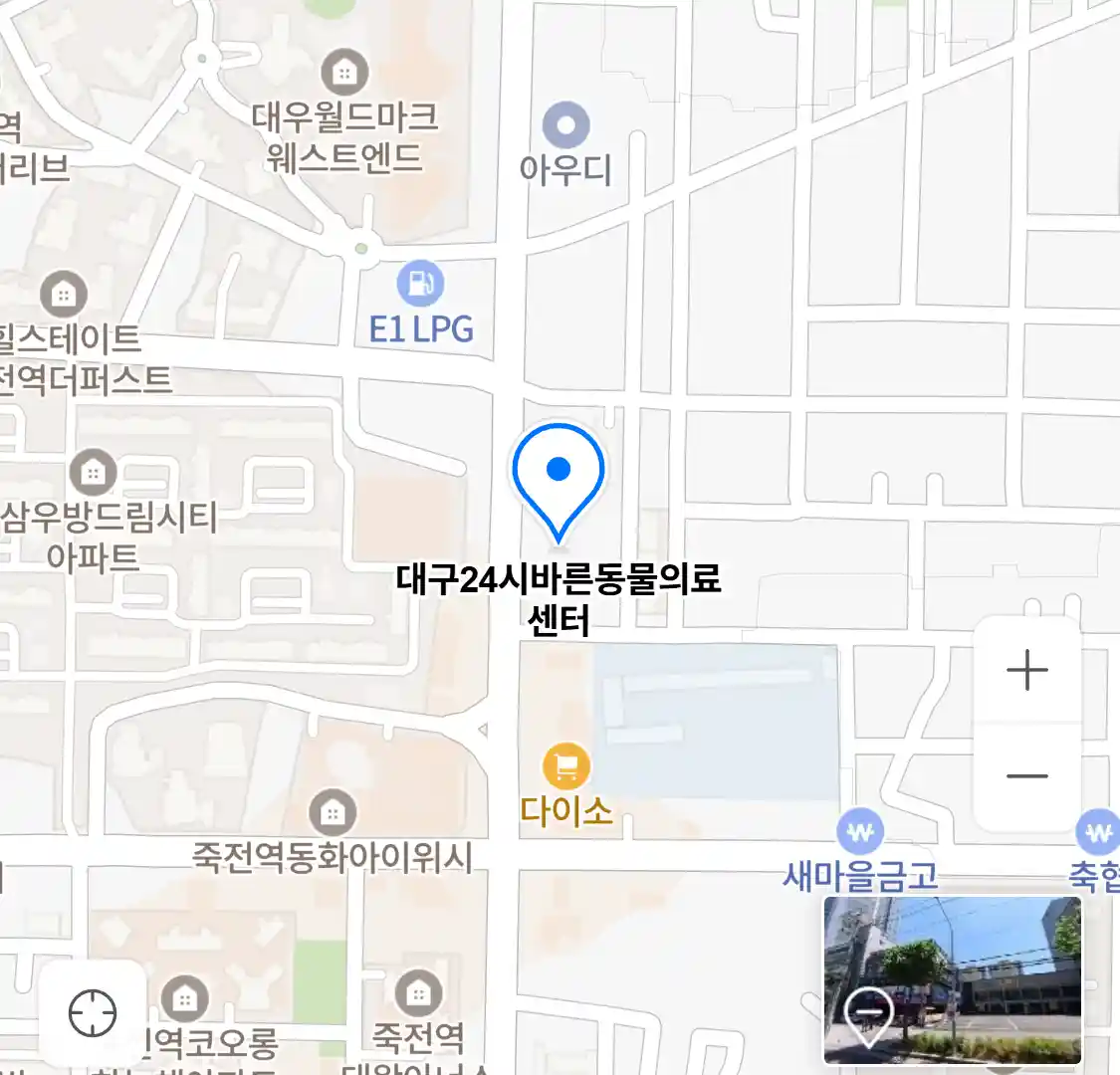 대구24시바른동물의료센터 위치