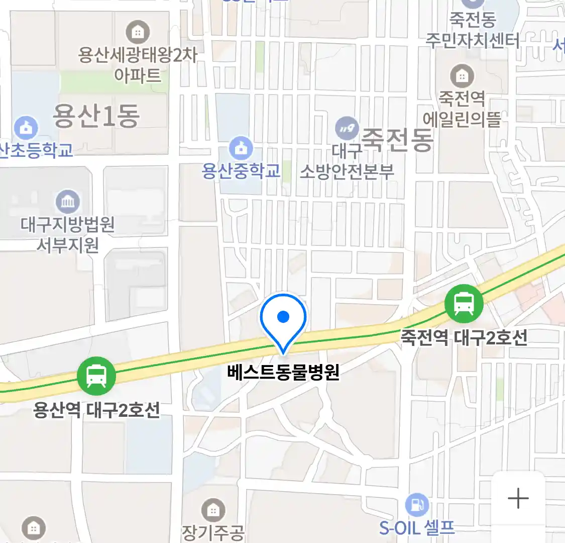 베스트동물병원 위치
