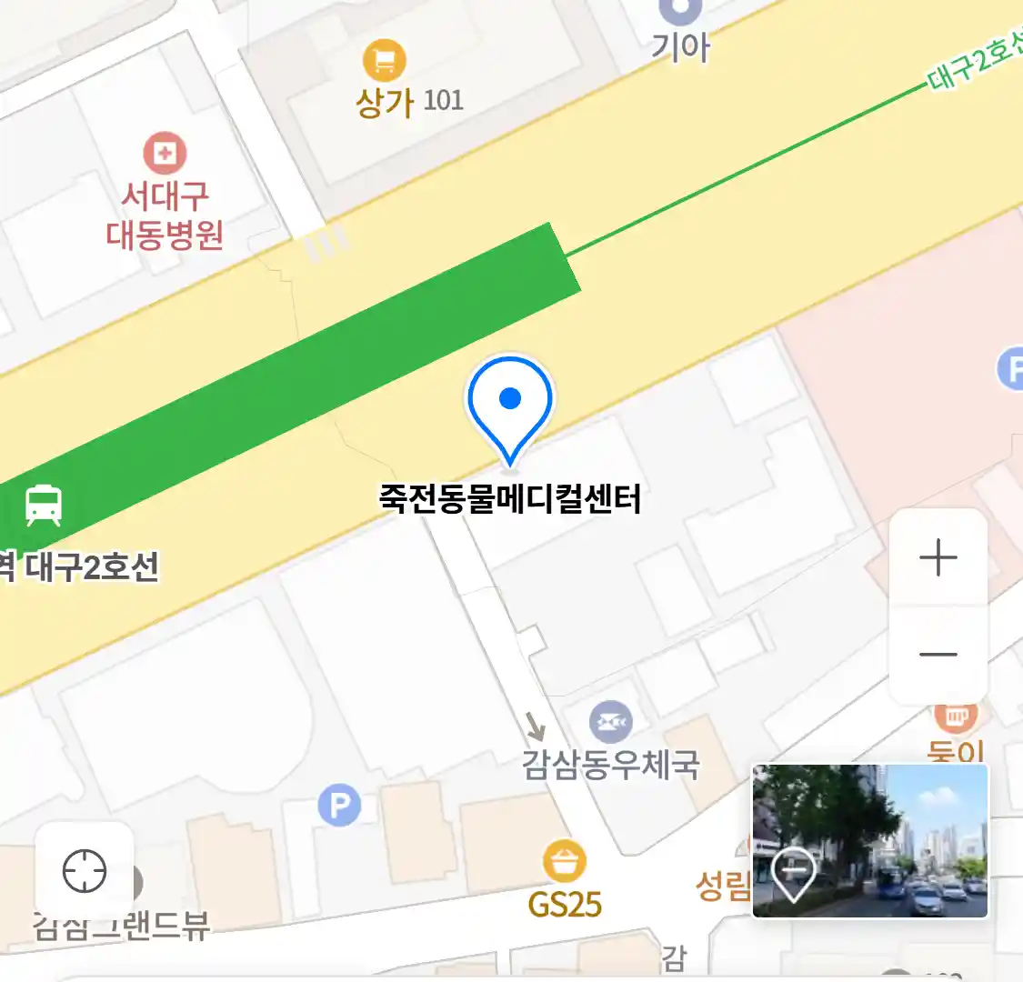 죽전동물메디컬센터 위치