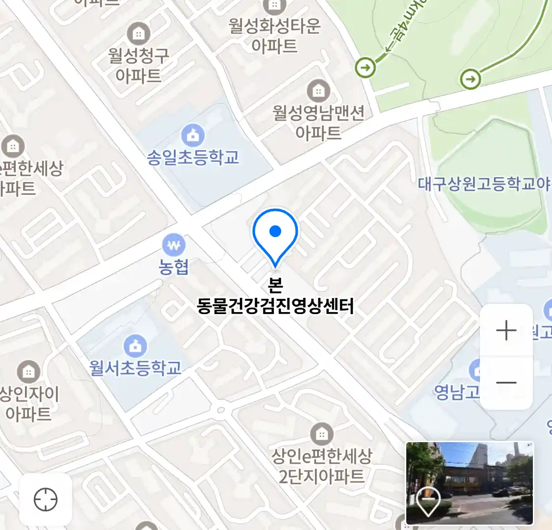 본 동물건강검진영상센터 위치