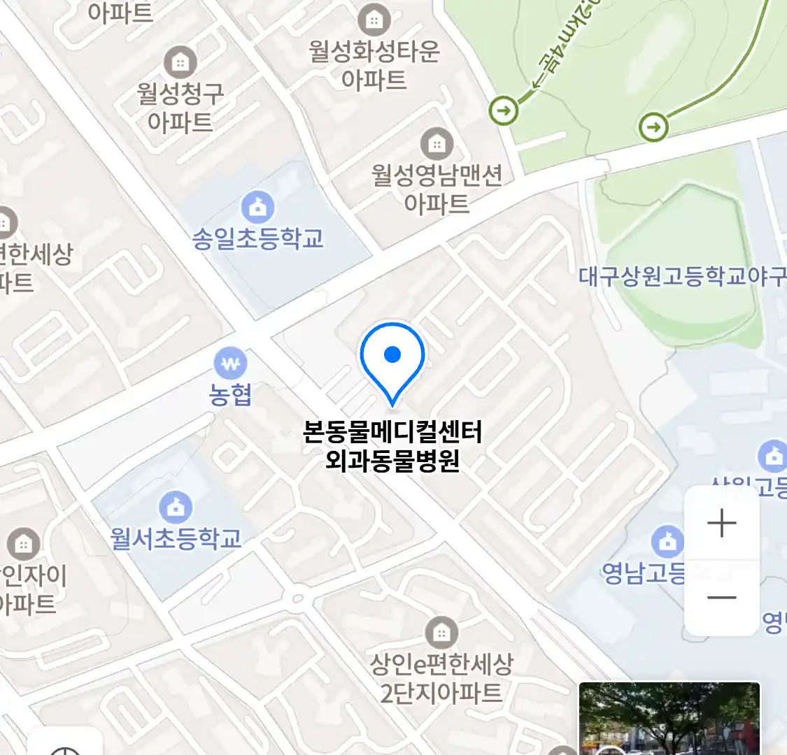 본동물메디컬센터 외과동물병원 위치