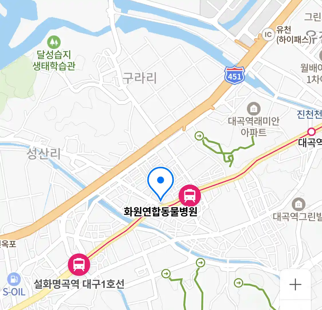 화원연합동물병원 위치