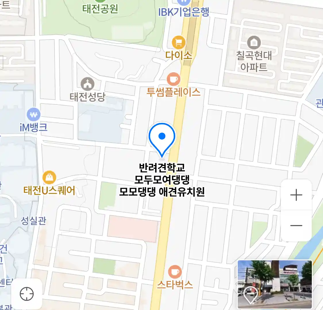 반려견학교 모두모여댕댕 모모댕댕 애견유치원 위치