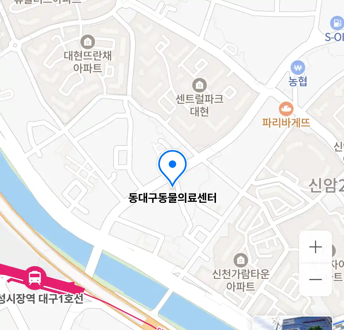 동대구동물의료센터 위치