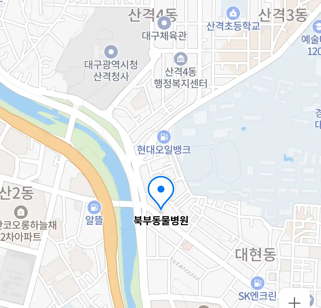 북부동물병원 위치