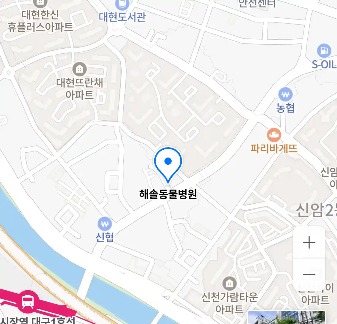 해솔동물병원 위치