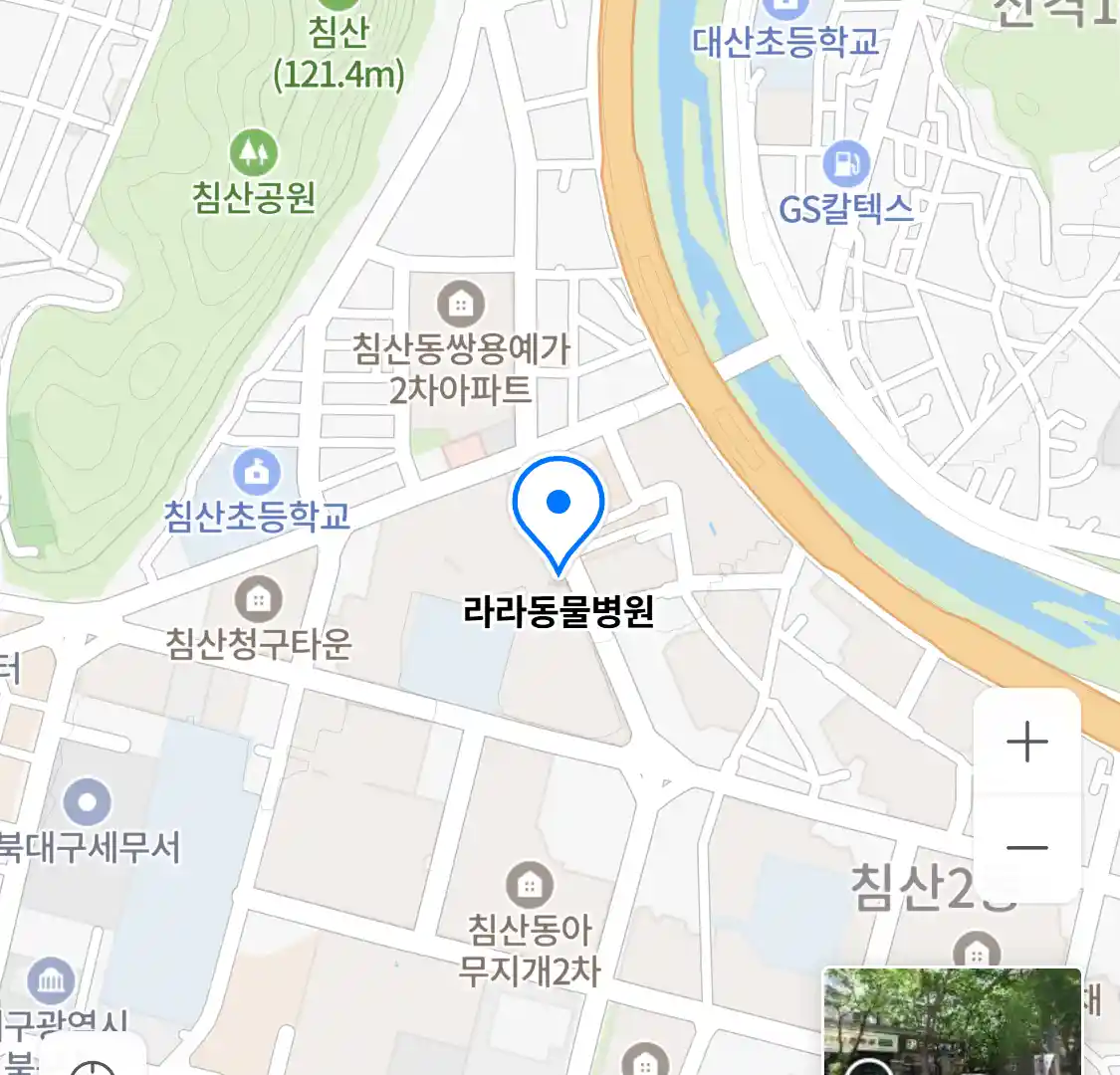 라라동물병원 위치
