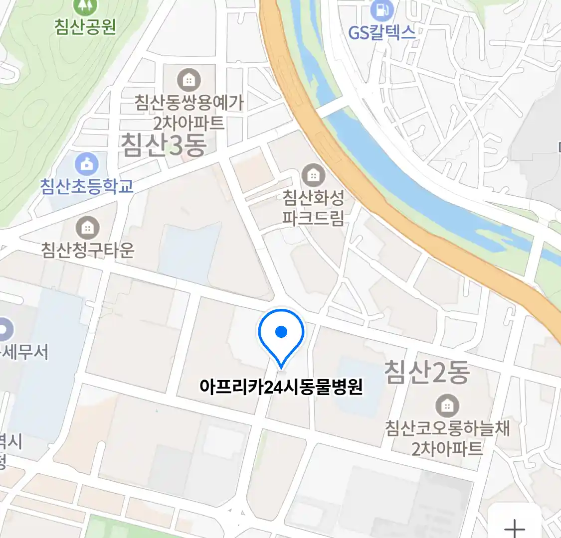 아프리카24시동물병원 위치