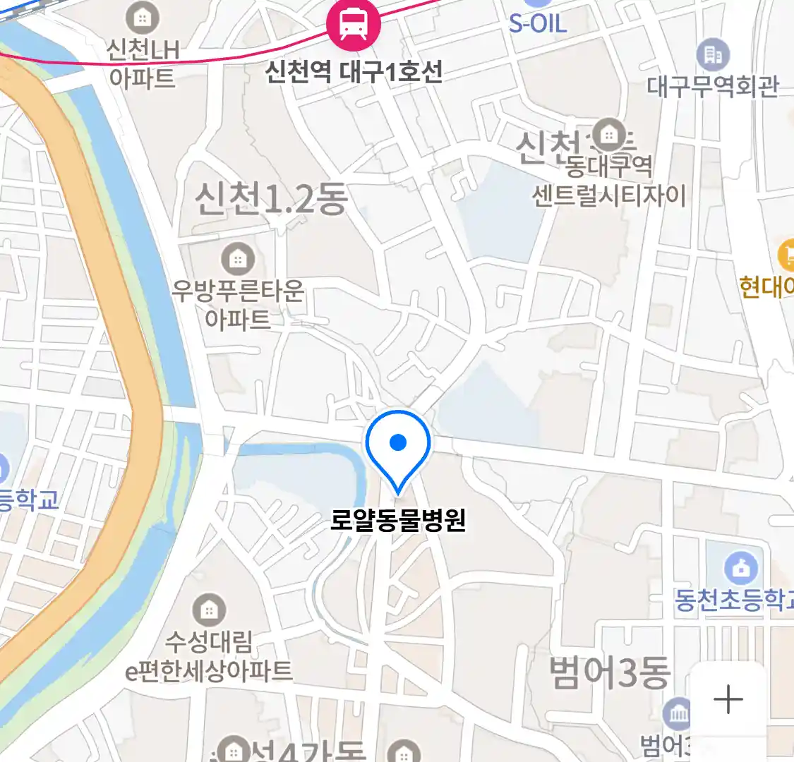로얄동물병원 위치