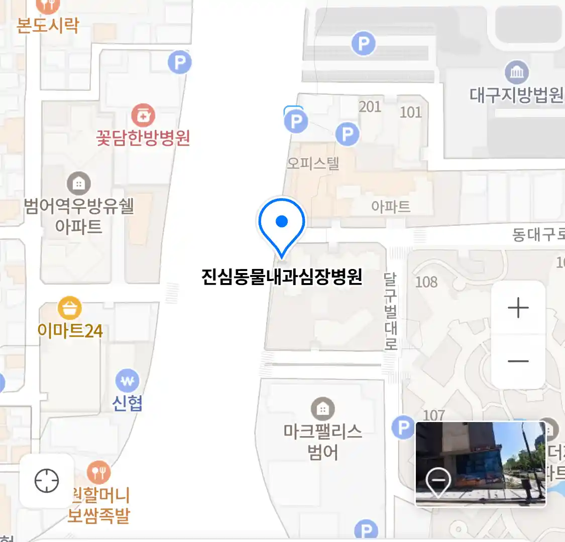 진심동물내과심장병원 위치