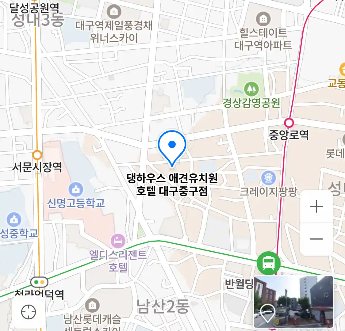 댕하우스 애견유치원 호텔 대구중구점 위치