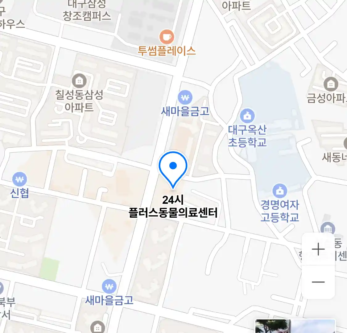 24시 플러스동물의료센터 위치