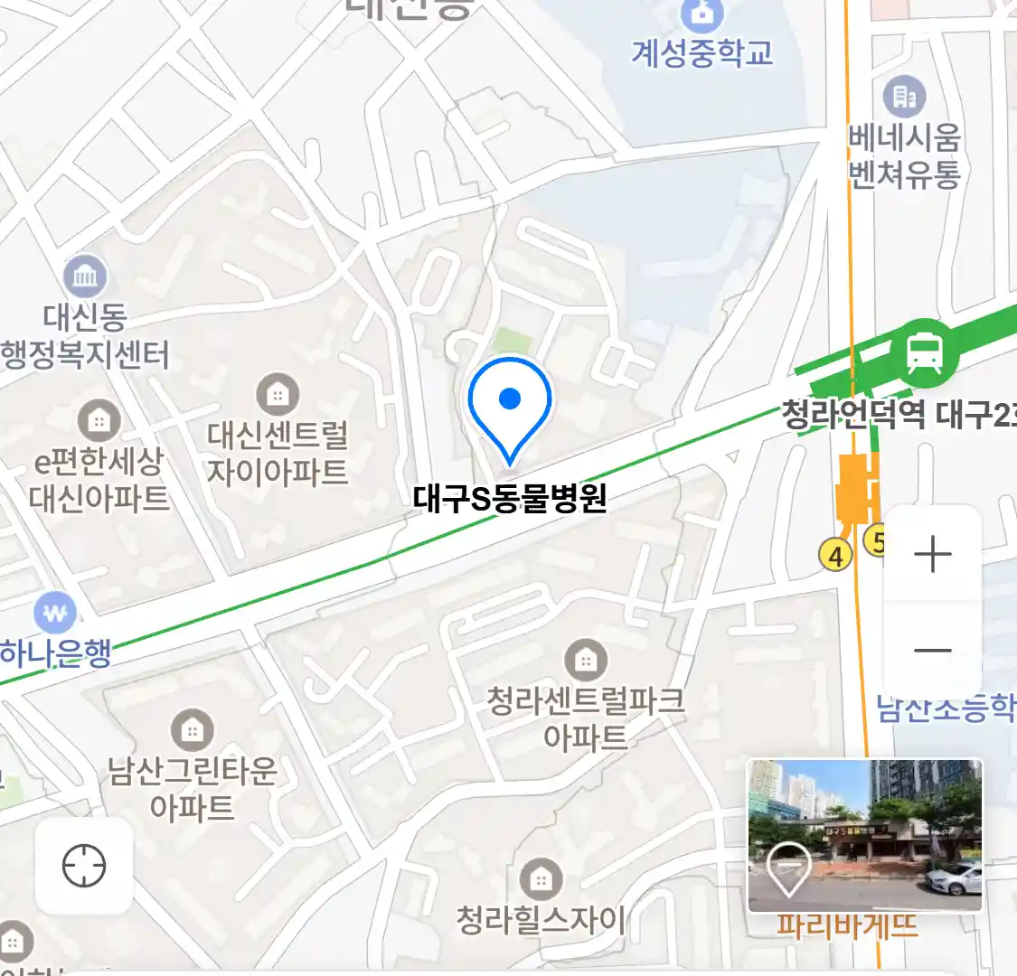 대구S동물병원 위치