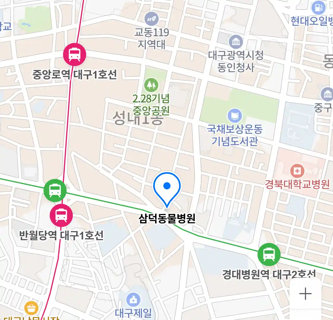 삼덕동물병원 위치