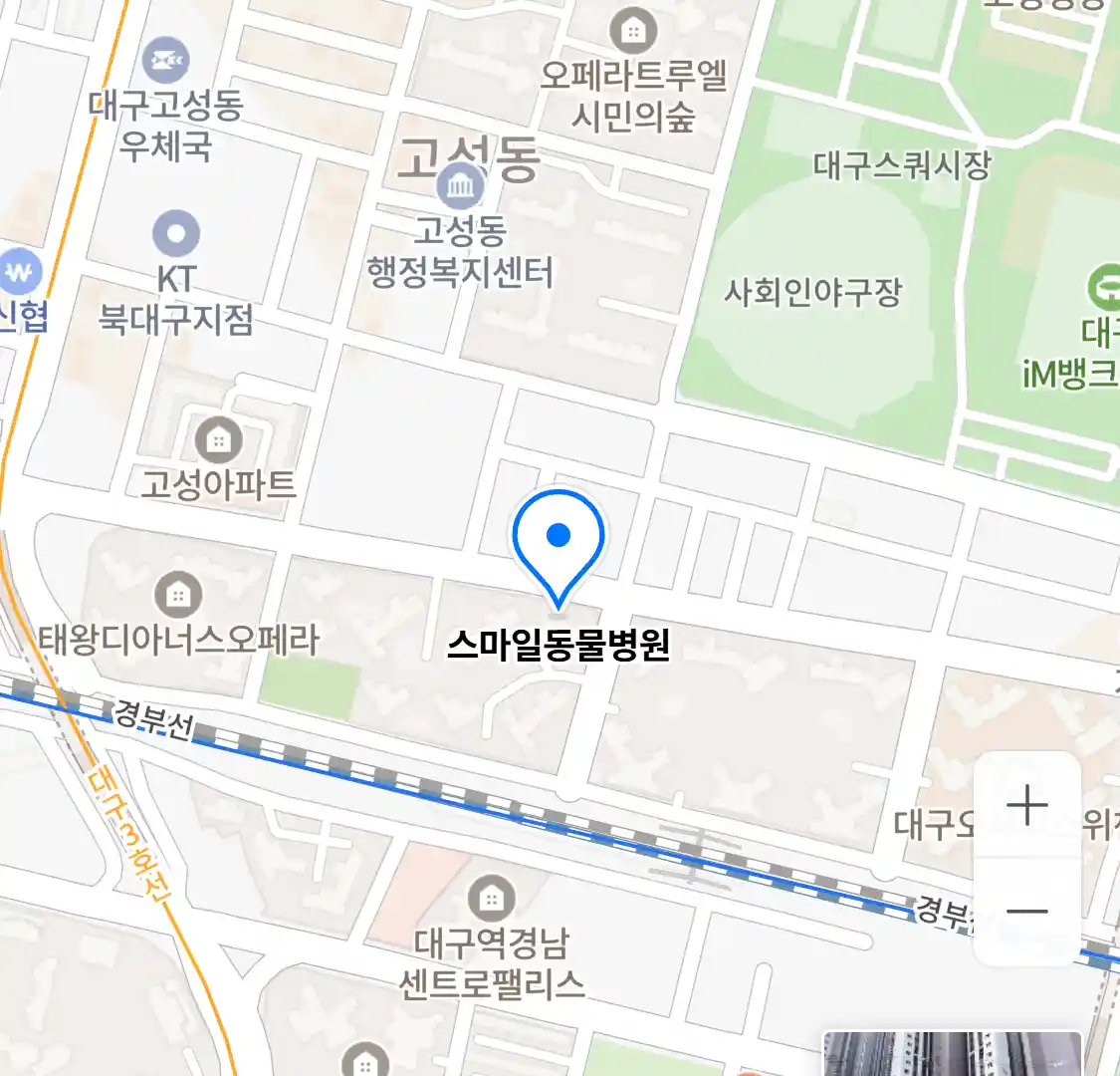 스마일동물병원 위치