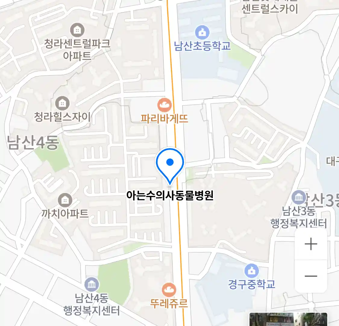 아는수의사동물병원 위치