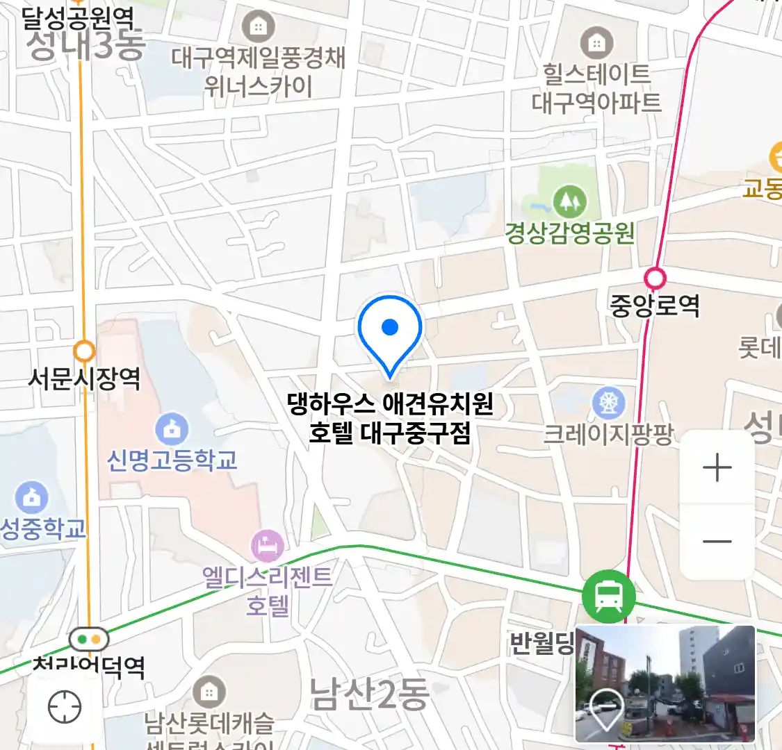 댕하우스 애견유치원 호텔 대구중구점 위치
