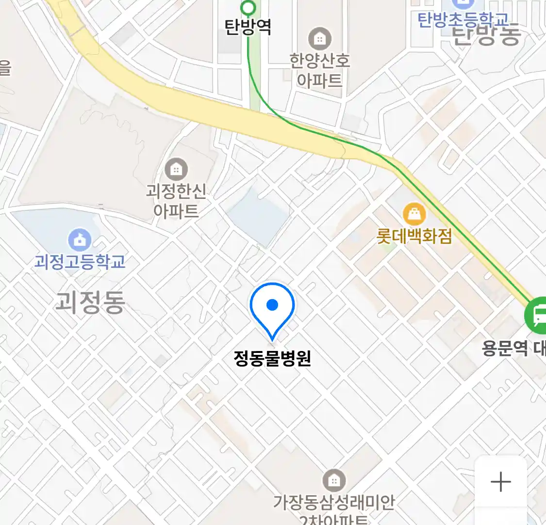 정동물병원 위치