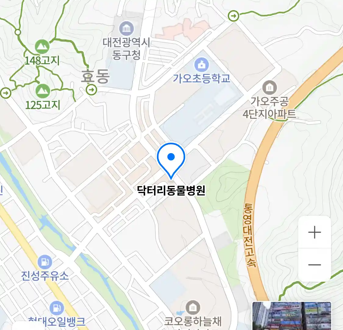 닥터리동물병원 위치