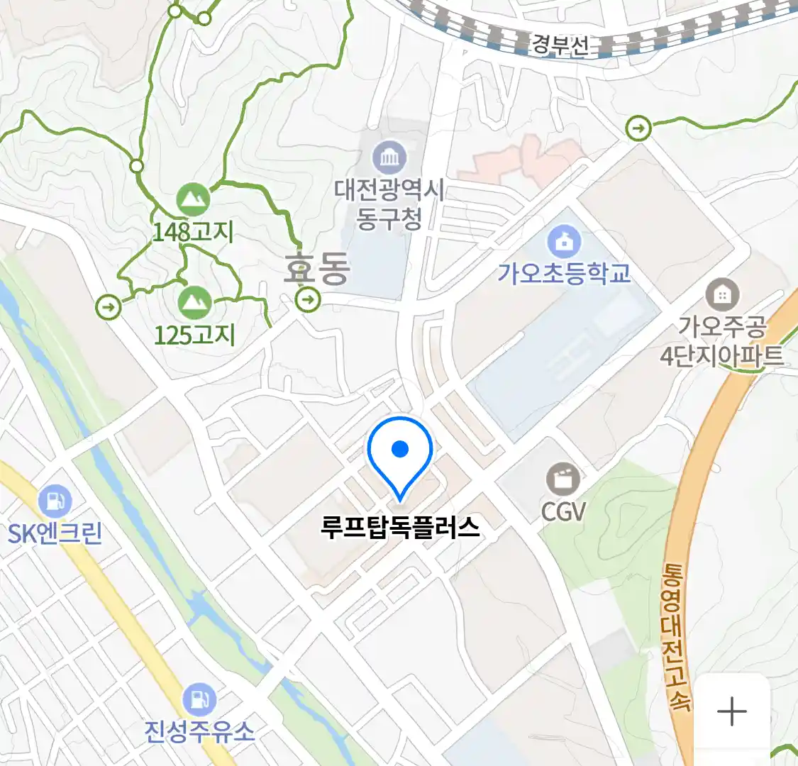 루프탑독플러스 위치