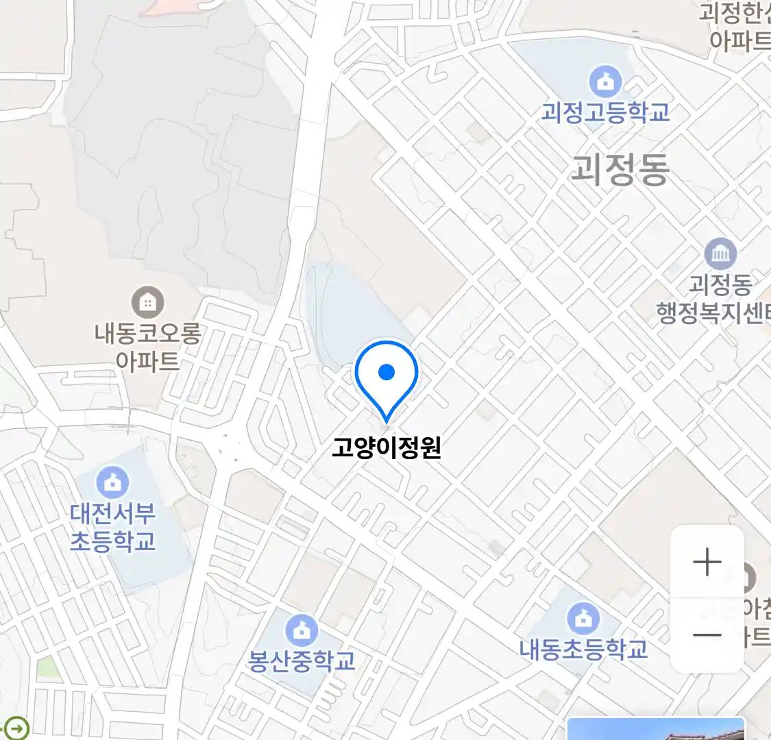 고양이정원 위치