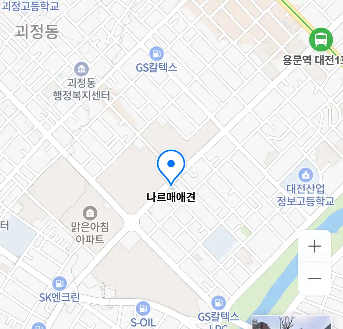 나르매애견 위치