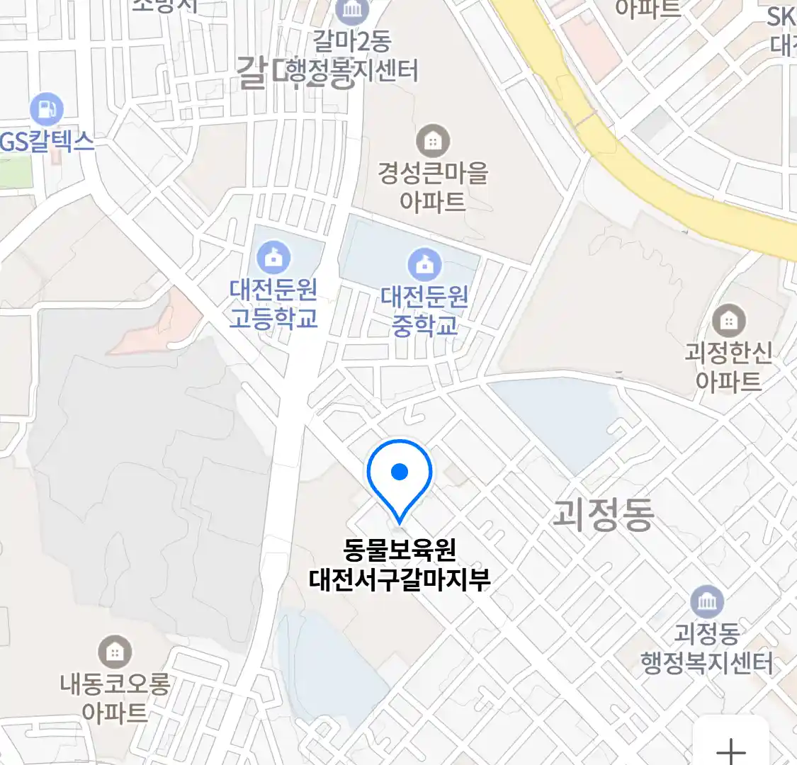 동물보육원 대전서구갈마지부 위치