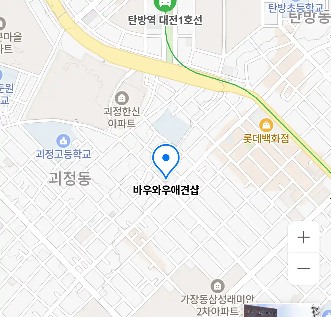 바우와우애견샵 위치