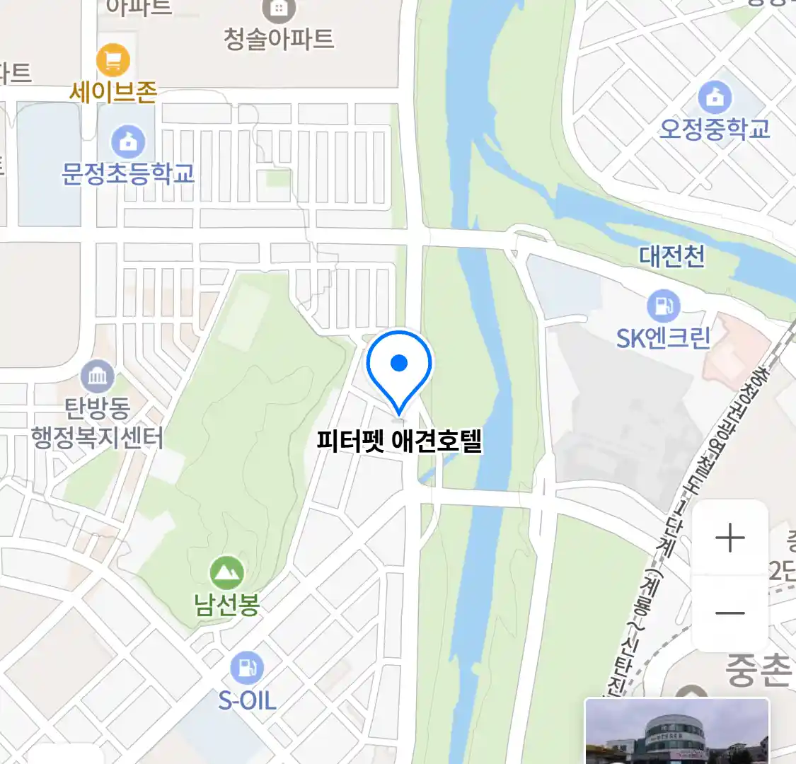 피터펫 애견호텔 위치