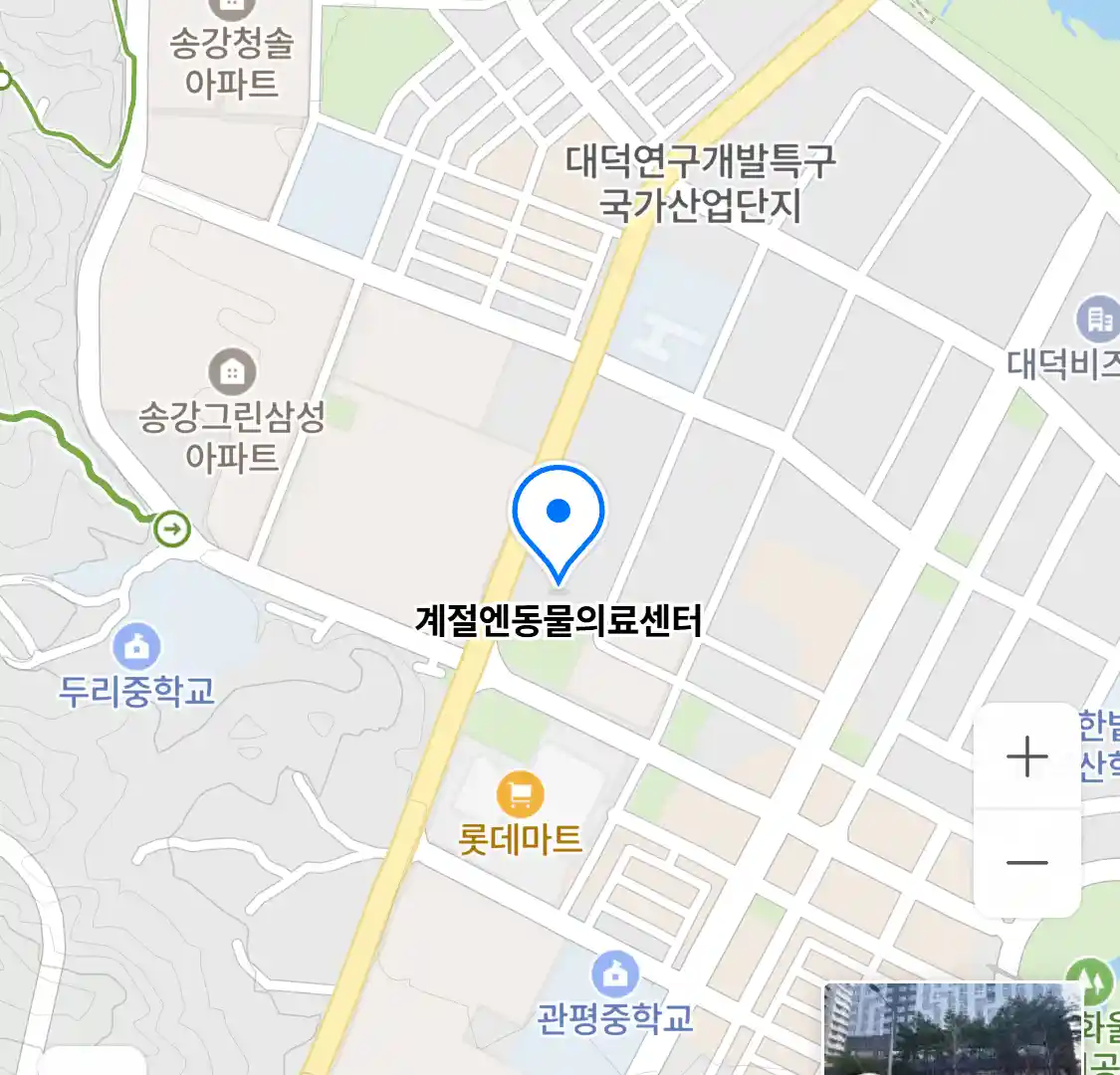 계절엔동물의료센터 위치
