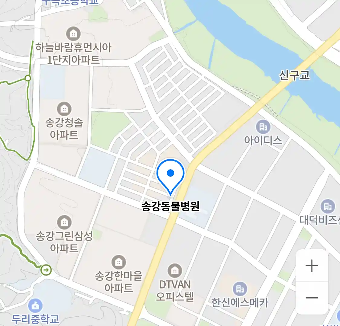 송강동물병원 위치