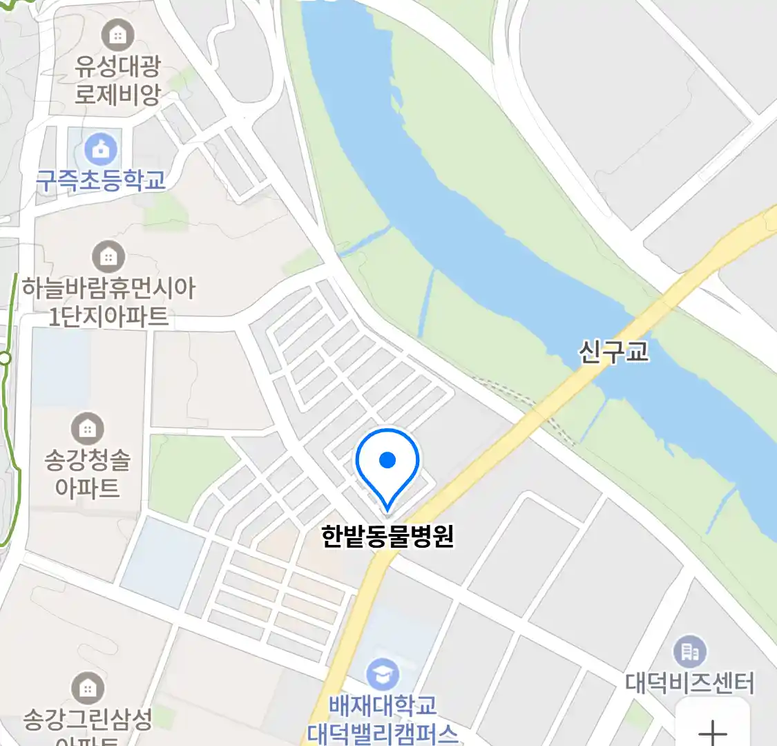 한밭동물병원 위치