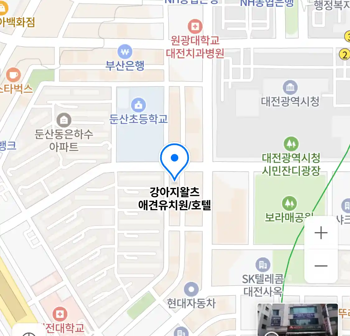 강아지왈츠 애견유치원/호텔 위치