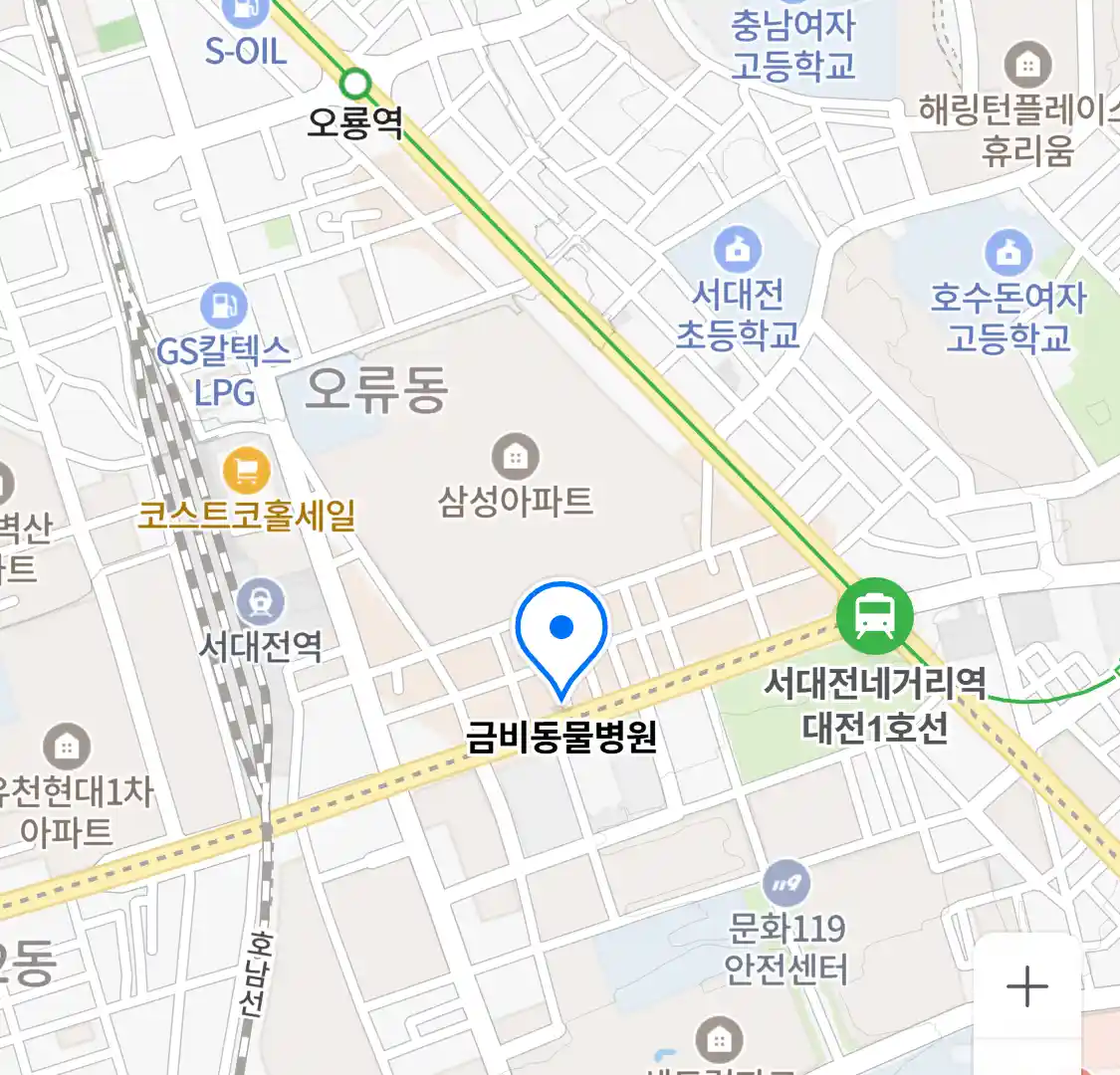 금비동물병원 위치