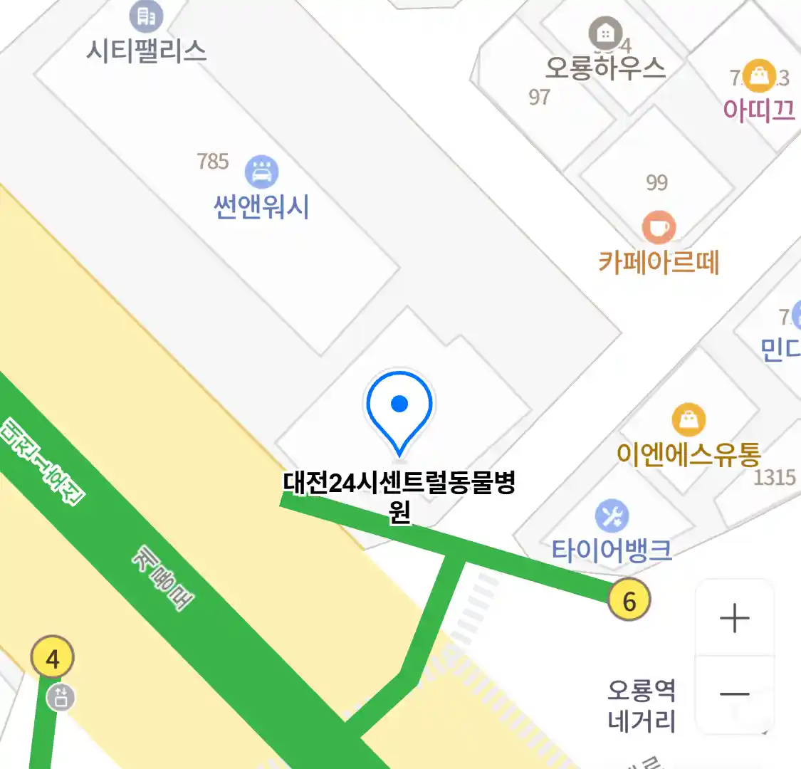 대전24시센트럴동물병원 위치