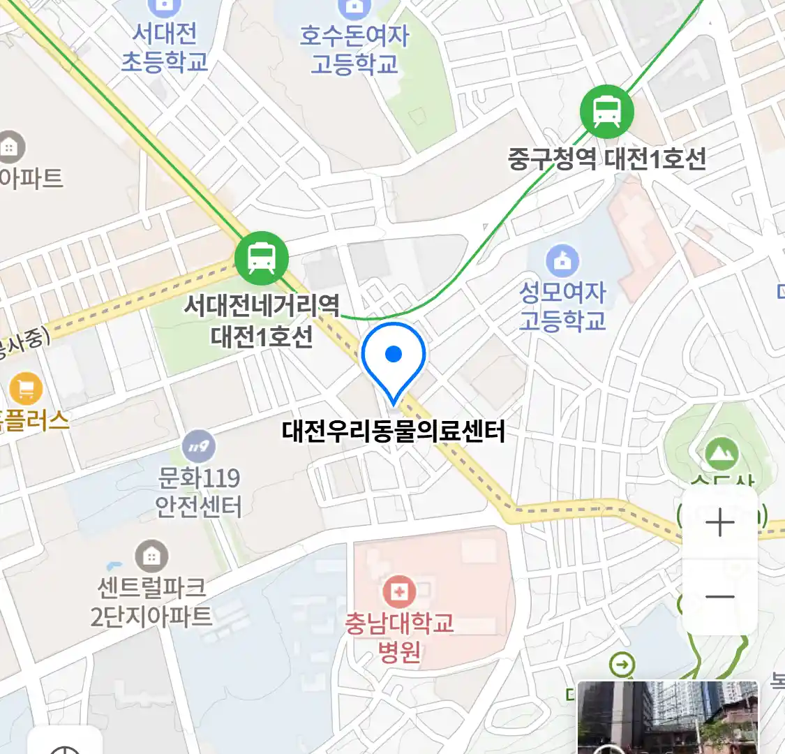 대전우리동물의료센터 위치
