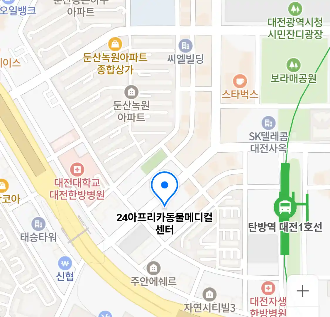 24아프리카동물메디컬센터 위치