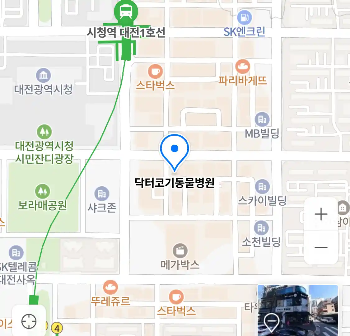 닥터코기동물병원 위치