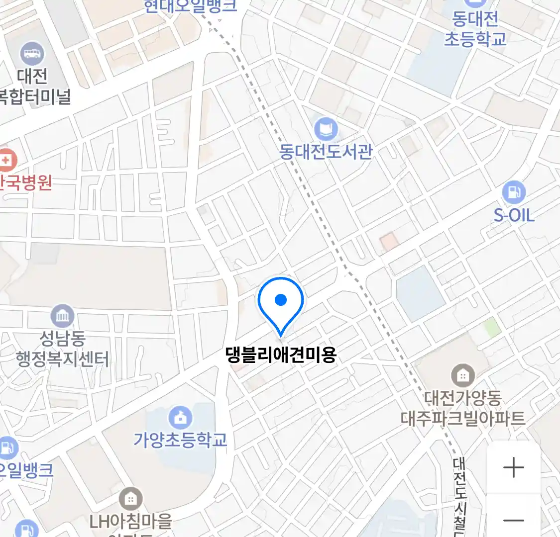 댕블리애견미용 위치