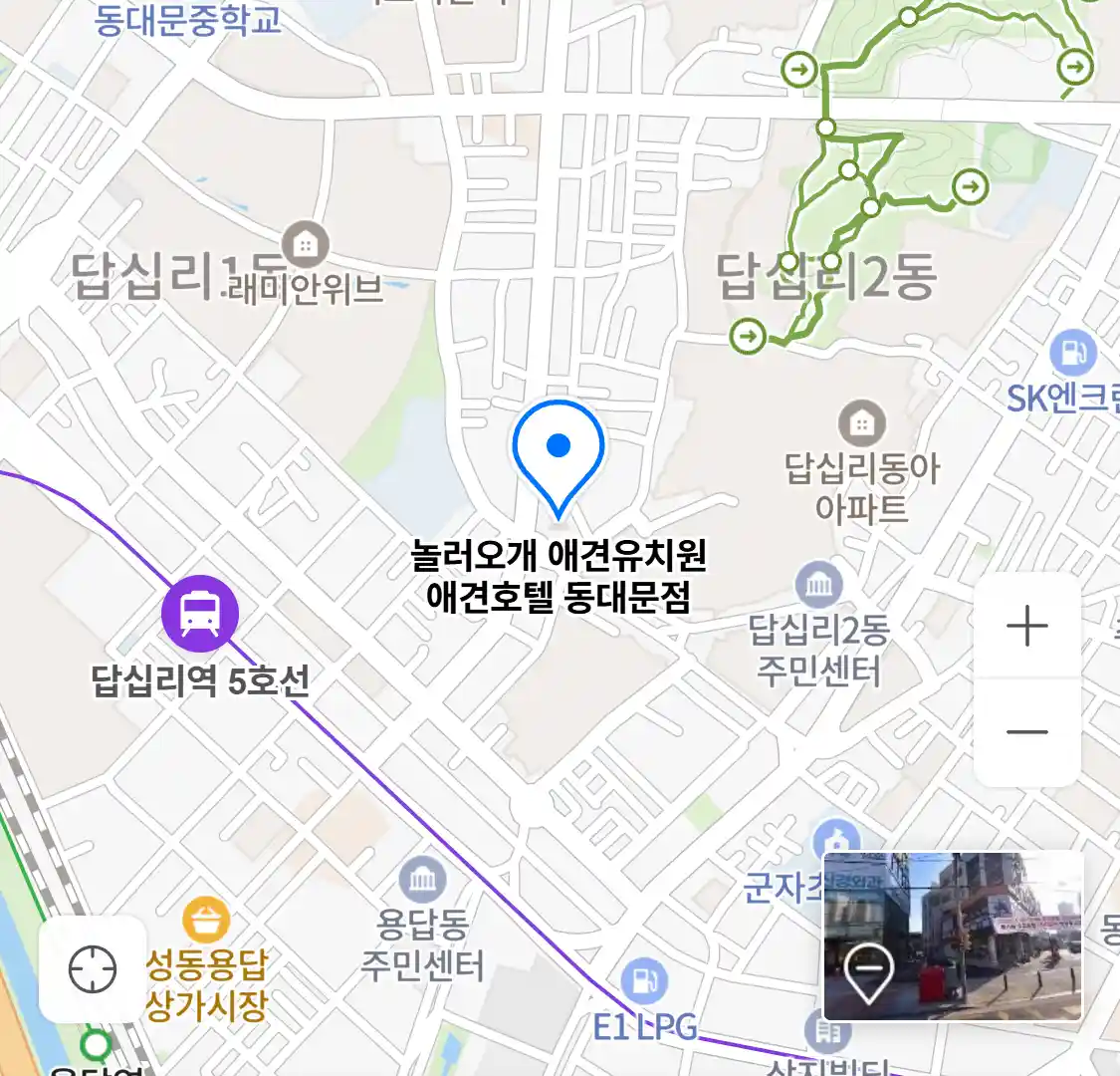 놀러오개 애견유치원 애견호텔 동대문점 위치