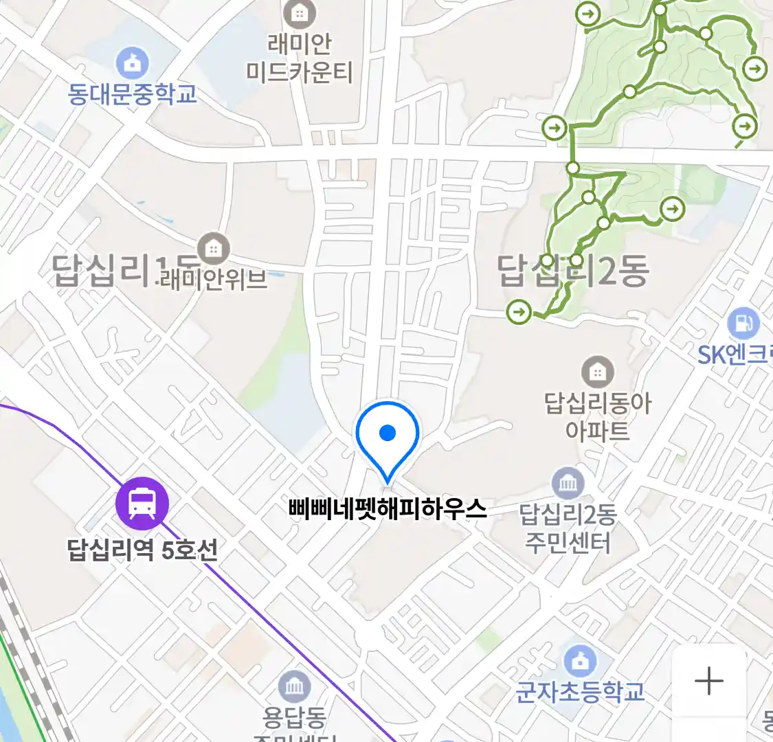 삐삐네펫해피하우스 위치