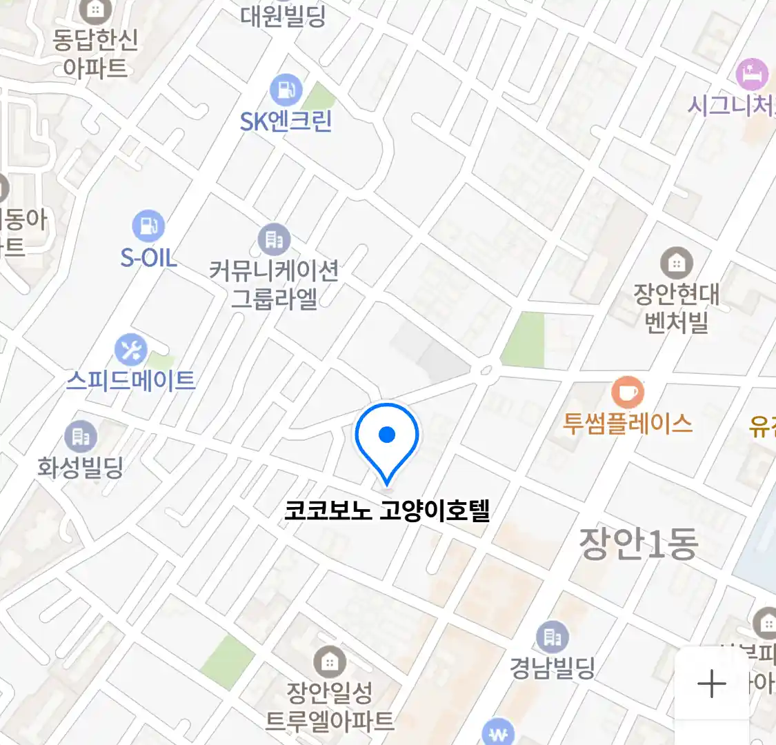 코코보노 고양이호텔 위치