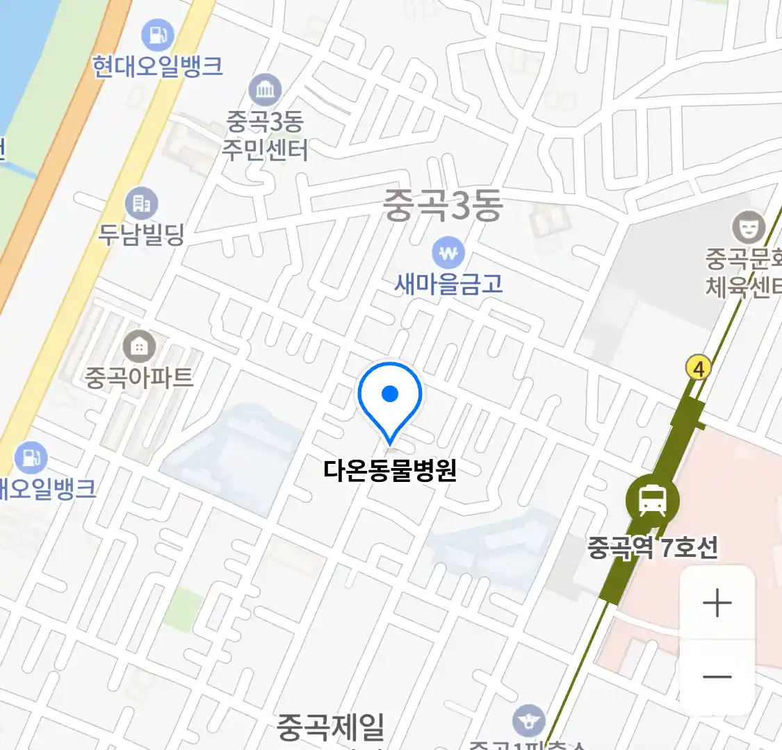 다온동물병원 위치